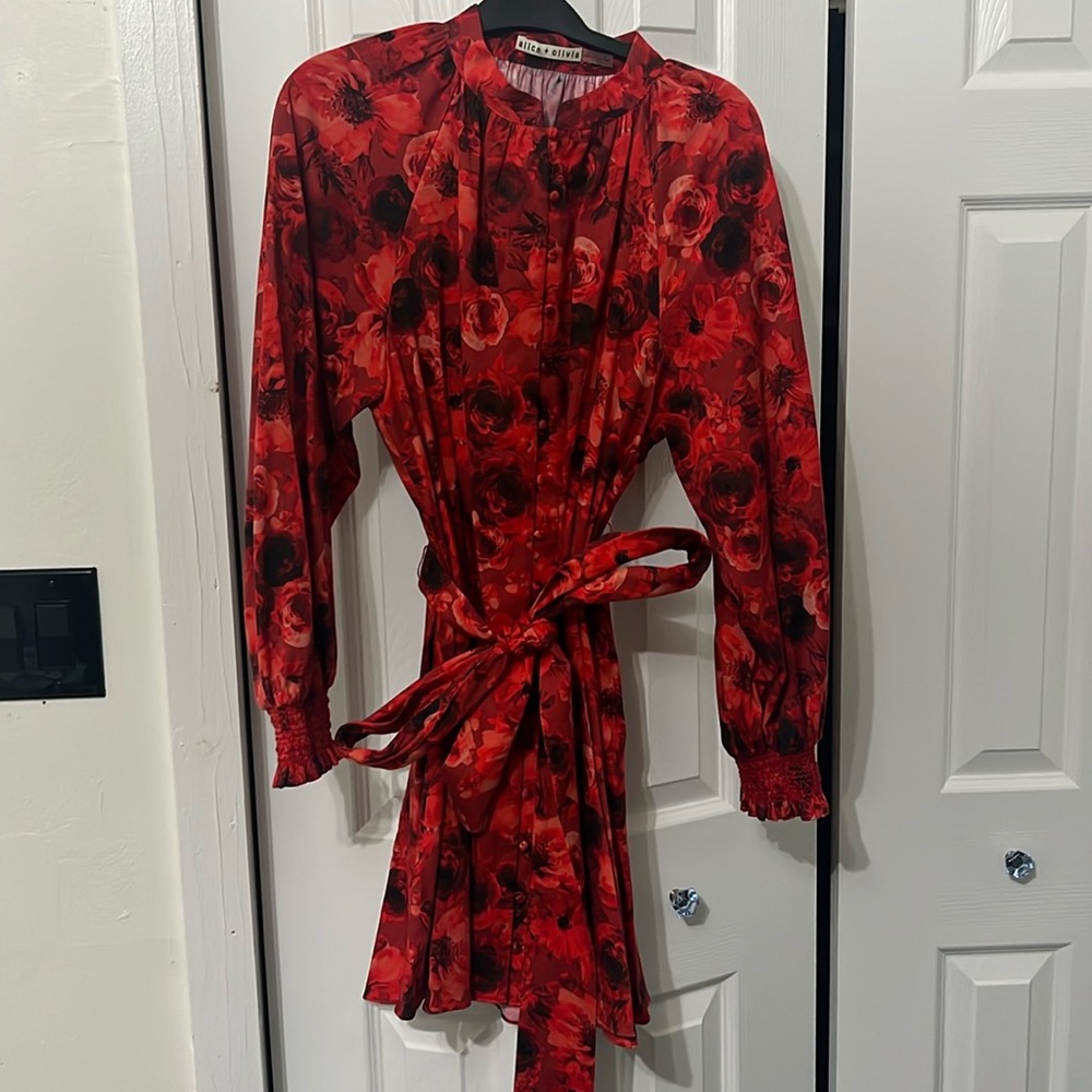 Alice and Olivia mini dress size 6